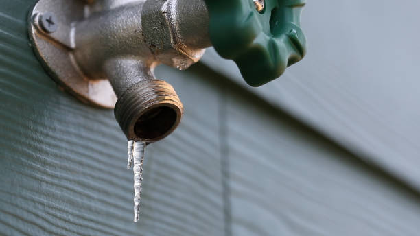 Best Sewer Line Repair  in Windham, OH